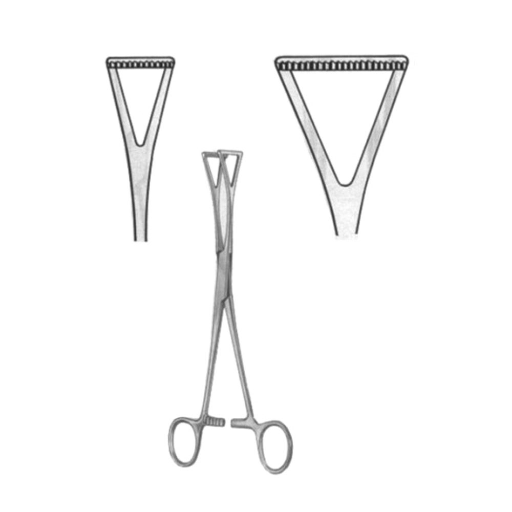 Duval Organ Grasing Forceps BJ 23cm/9"